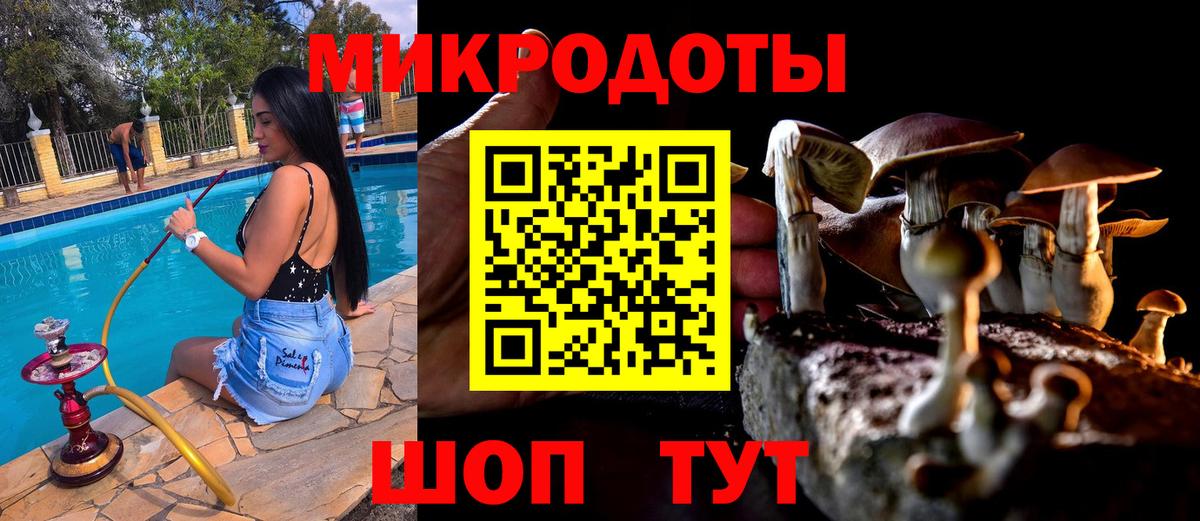 Россия  Галлюциногенные грибы Psilocybe  Вход с VPN 