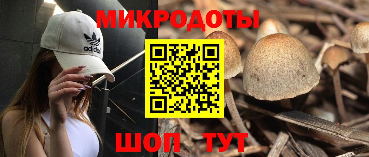 Псилоцибиновые грибы MAGIC MUSHROOMS Россия